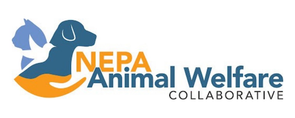 NEPA Animal Welfare to Host Adoption Event at Tunkhannock Ford